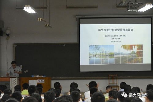 导师阵容：专业与创新的完美结合