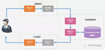 橘子视频平台概述与特点
