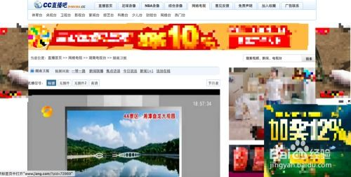 电视台官方渠道免费观看