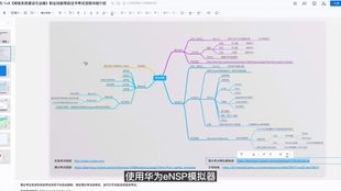 职业系统与技能构建详解