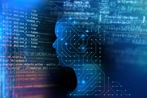 月夜影视内容分类与个性化推荐系统