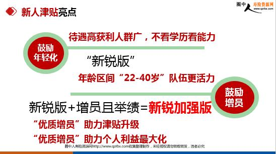 新手入门与成长路径