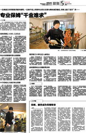 高级保姆的核心技能与专业素养