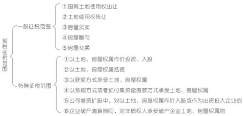 《一触即爱》剧情概述与基本设定