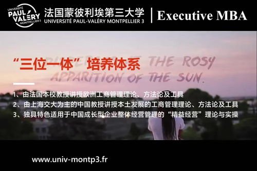 第三季概述与背景介绍