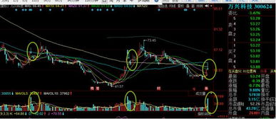 第三季剧情分析与关键转折
