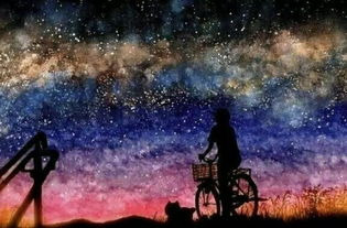 如何高效使用星空影院动漫平台