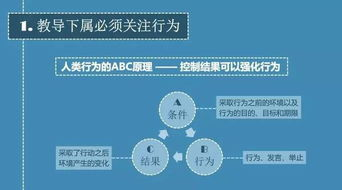 结果导向的沟通与反馈文化