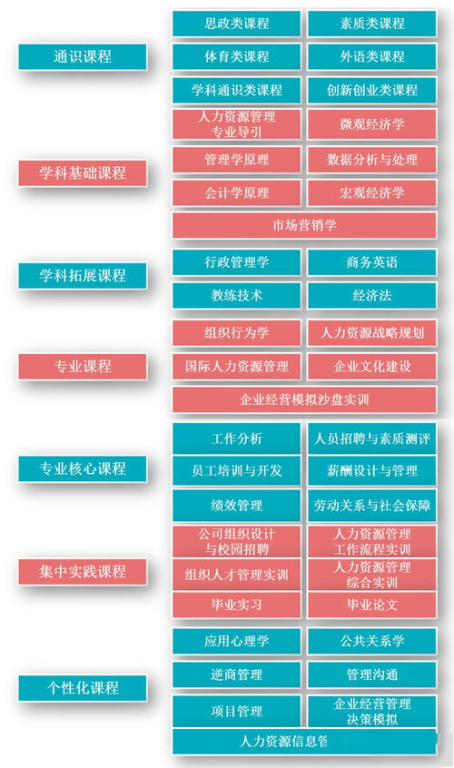 k8经典网的学习资源与课程体系