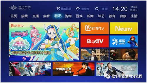 免费电影观看平台类型与特点