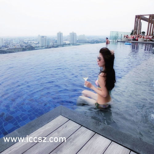 在线天堂おっさんとわたし：网络空间中的代际互动现象