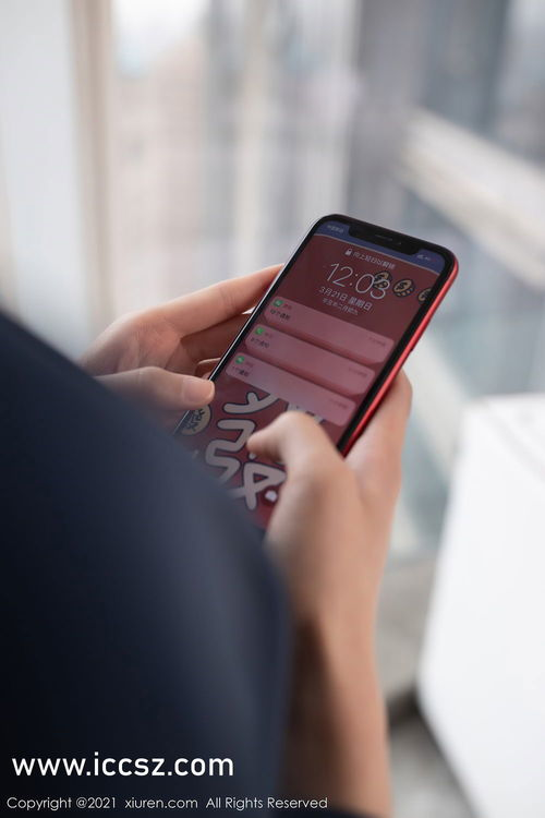 在线天堂おっさんとわたし：技术使用习惯的代际差异