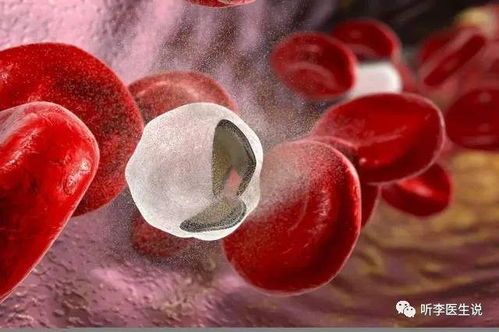 遗传性溶血性贫血的根治可能性