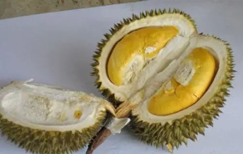 榴莲的营养特点与十八岁人群的食用建议