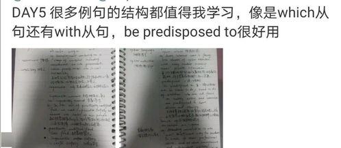 四、大叔我要的语言学分析