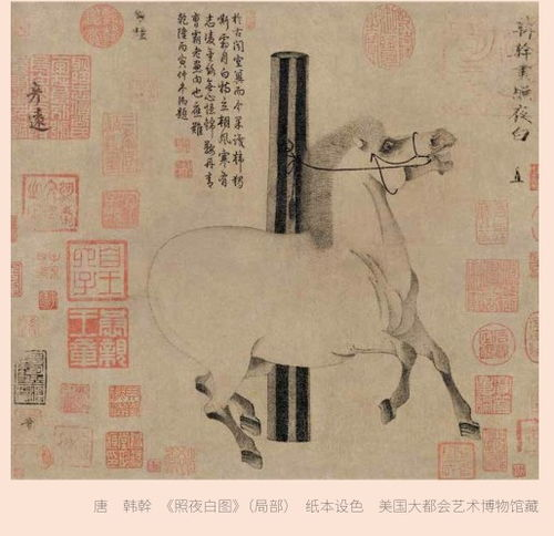 贪欢记的艺术特色与叙事技巧