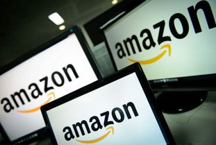 4. 广告支持的免费流媒体服务