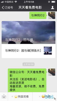 中文字幕BD资源的定义与特点