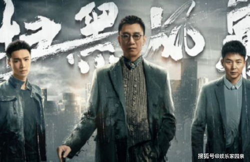 扫黑风暴40集演员表现与角色解析