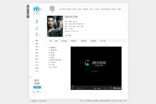 免费看电视网站的类型与特点