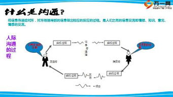 免费观看渠道与注意事项