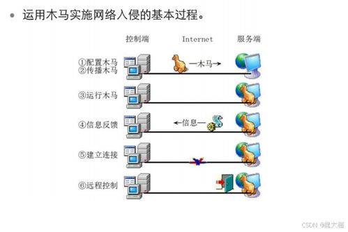网课入侵行为的常见手段与识别方法
