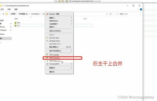 详细使用步骤与技巧