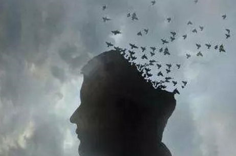 狂野的夜与人类心理