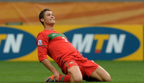 玛德琳·斯托的职业生涯概述