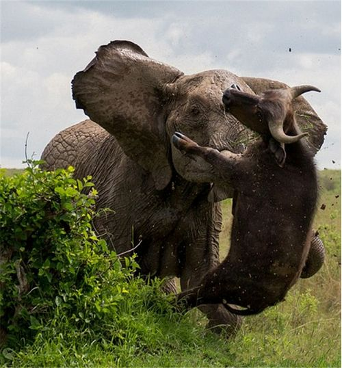 满18点此安全转入2023大象的安全保障措施