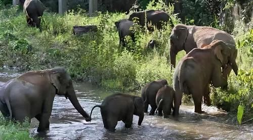 满18点此安全转入2023大象的常见问题解答