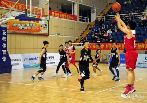 篮球及其他热门体育项目的节目安排