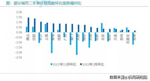aaaa级毛的市场定位与价格区间