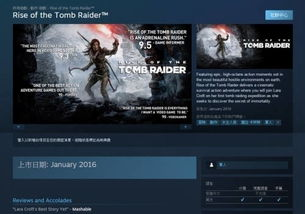 中文在线平台的崛起与现状