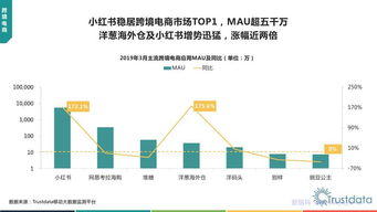 中文字幕2019免费版的重要性与需求分析