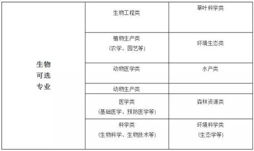 中文字幕2019免费版的质量评估与选择标准