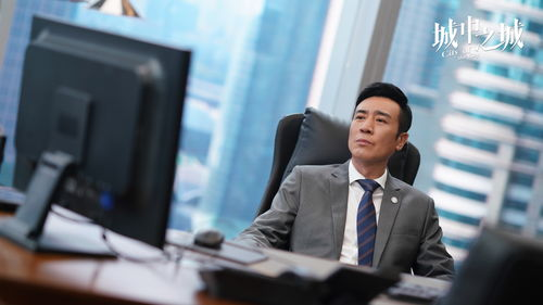 公共文化资源中的城中之城电视剧免费观看机会