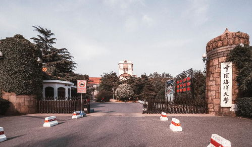 暖暖的生活美学：创造温暖的环境与体验