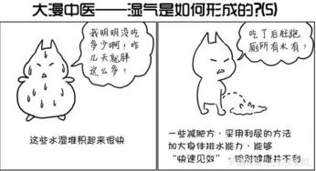 湿漫画的创作技巧与工具