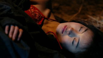 情不自禁视频的文化影响与社会意义