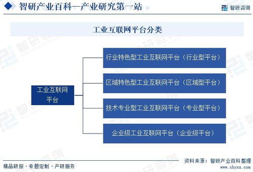 土豆网平台概述与发展历程