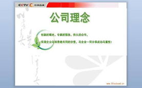 央视一套广告价值概述