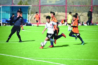 体育精神的培养