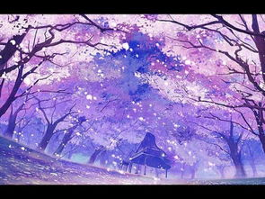 提升樱花动漫在线观看体验的技巧