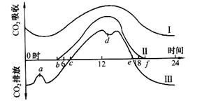 极致偏爱1vs2的形成原因