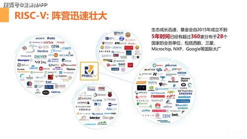 bd高清画质技术解析与优势