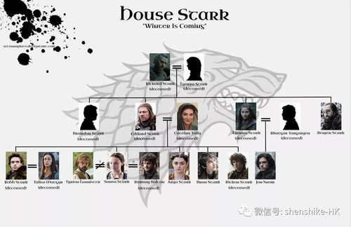 男性角色与家族权力结构