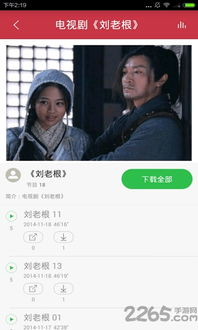 什么是电视剧大全免费版平台