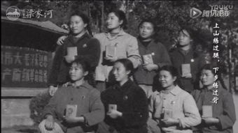 知青题材电视剧的发展历程