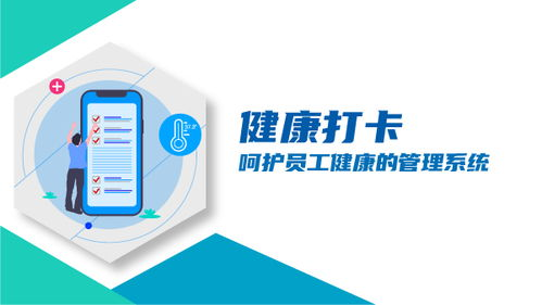 如何安全高效使用啦啦啦平台